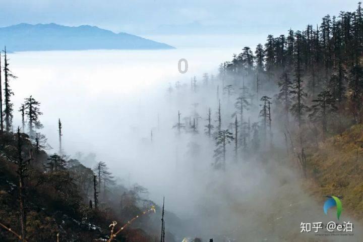 全民剧本大师内置菜单