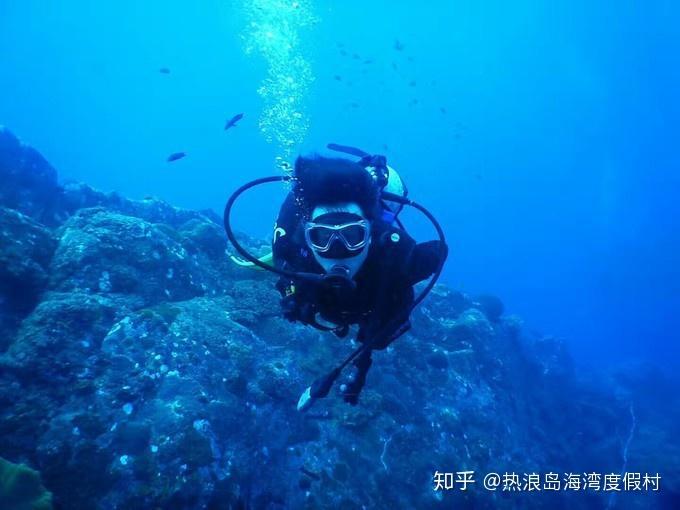 嘉日单词