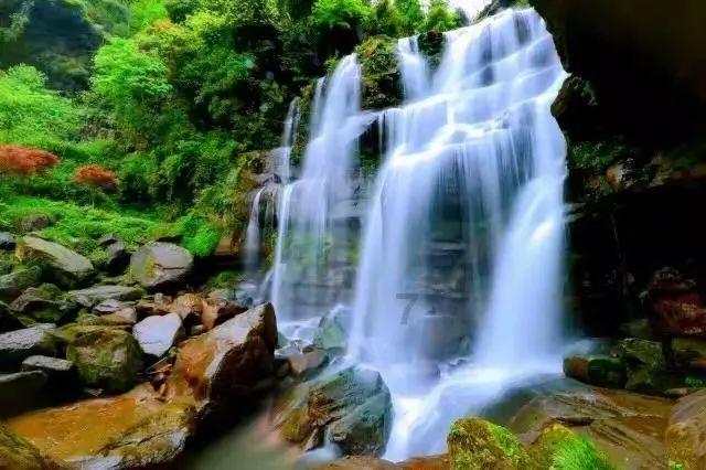 春雨直播app
