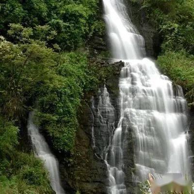 冷知识分享平台-发现互联网世界中的如何利用自己的才艺变现?奇闻异事